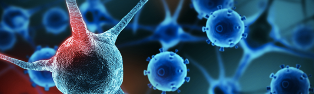 Screen-Shot-2017-03-08-at-1.57.55-PM