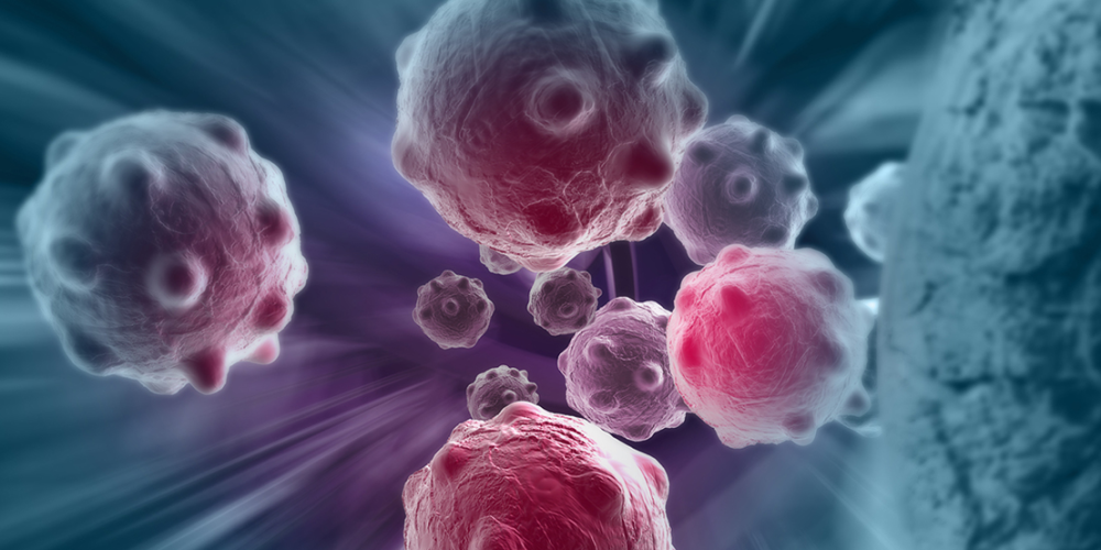 izobrazhenie_2021_12_15_143755